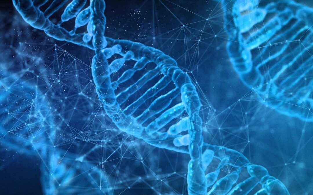 Epigenética y Espiritualidad: Cómo tus Pensamientos Influyen en tus Genes