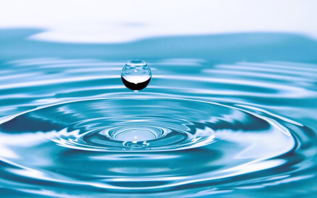 La Memoria del Agua: Ciencia y Espiritualidad Conectadas
