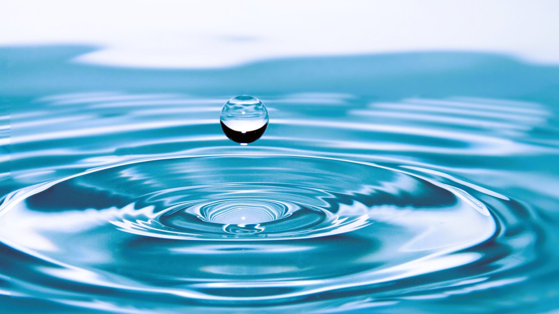 Representación de la memoria del agua y su conexión con la ciencia y la espiritualidad